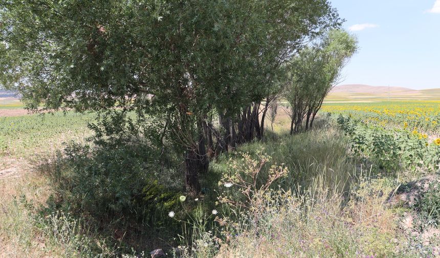 Boztepe'deki sel felaketinin ardından dere ıslahı için harekete geçildi
