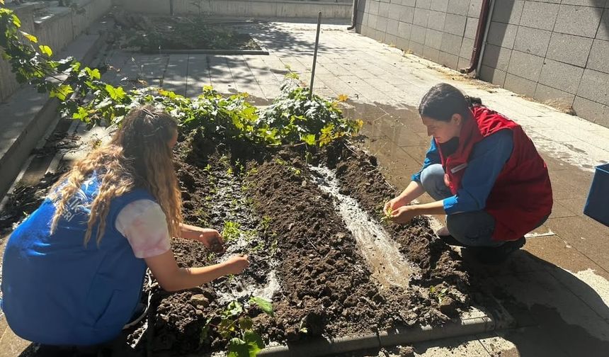 Kırşehirli gençlerin aktiviteleri devam ediyor