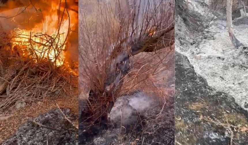 Karahıdır’da arazi yangını: Söğütler kül oldu