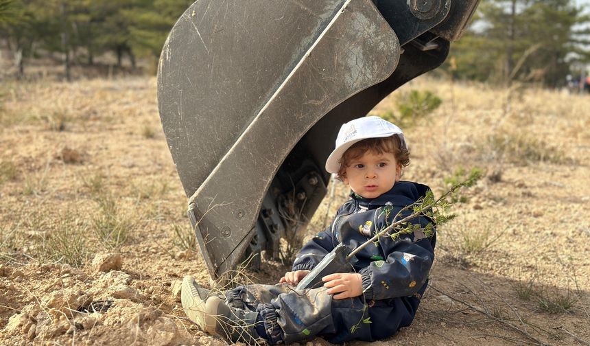 Kırşehir’de ağaçlandırma günü kutlamaları yeşil bir iz bıraktı