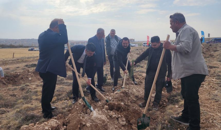 Mucur’da geleceğe nefes: Fidanlar toprakla buluştu