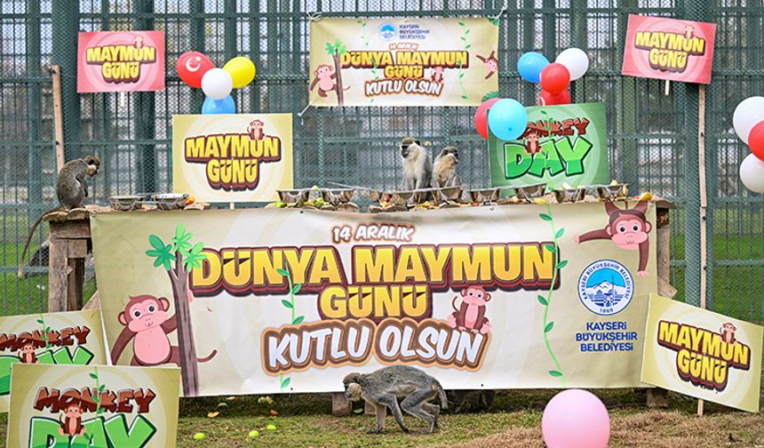 Hayvanat Bahçesinde Muz Şöleni