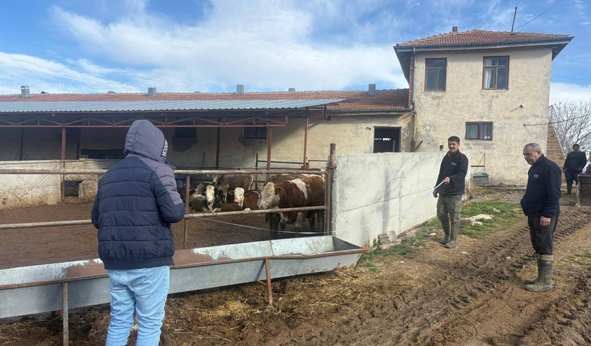 Kırşehir’de üretim için titiz çalışmalar aralıksız devam ediyor