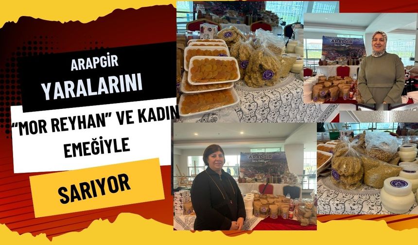 Kırşehir’de Dayanışma Günü: Arapgir Yaralarını “Mor Reyhan” ve Kadın Emeğiyle Sarıyor