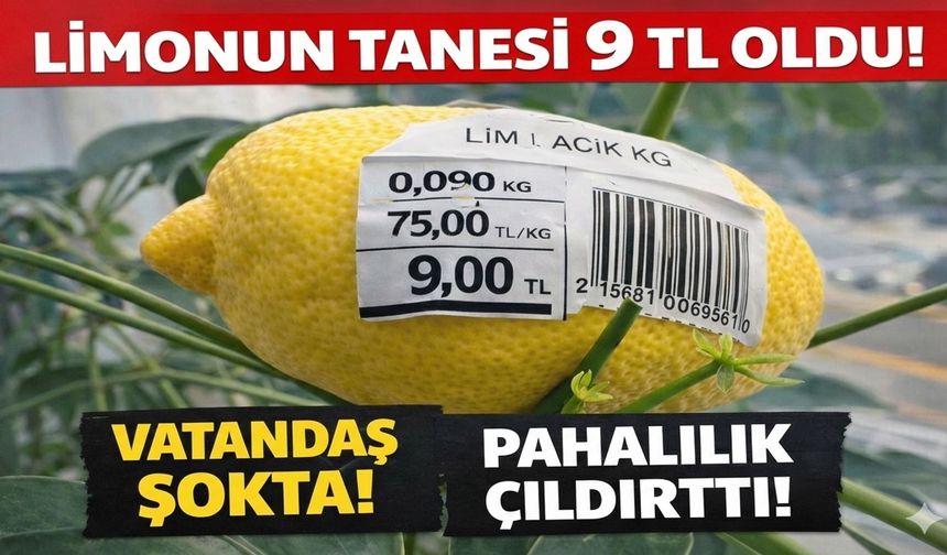 Kırşehir’de Limonun Tanesi 9 Lira Oldu: Salataya mı Sıkalım, Vitrine mi Koyalım?