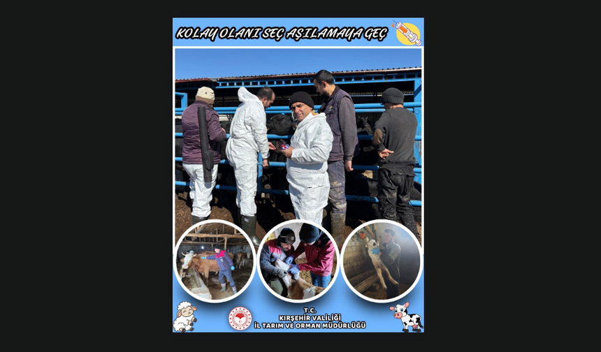 Aşılama Seferberliği: “Kolay Olanı Seç, Aşılamaya Geç”