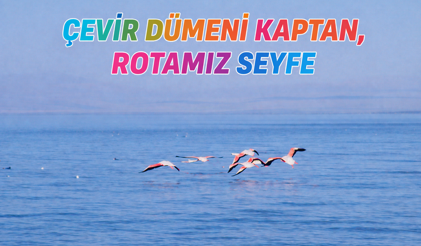 ÇEVİR DÜMENİ KAPTAN, ROTAMIZ SEYFE