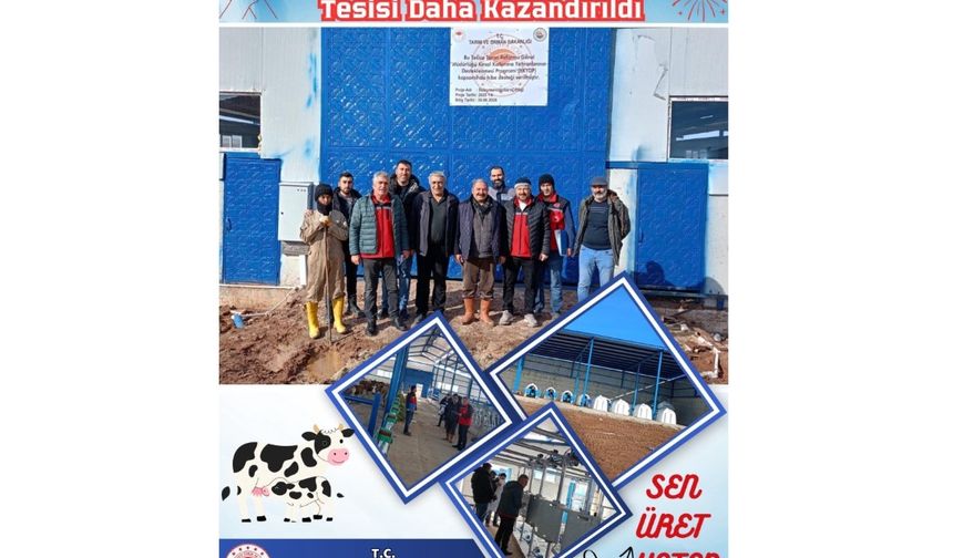 Kırşehir'e Yeni Bir Büyükbaş Damızlık Tesisi Daha Kazandırıldı