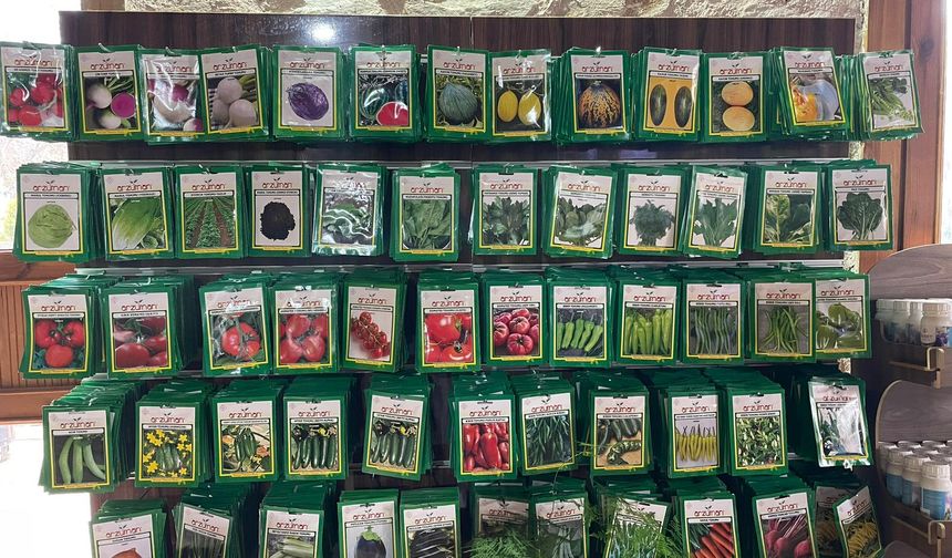 KIRŞEHİR’DE BAHAR HAZIRLIĞI: FİDE SATIŞI BAŞLADI