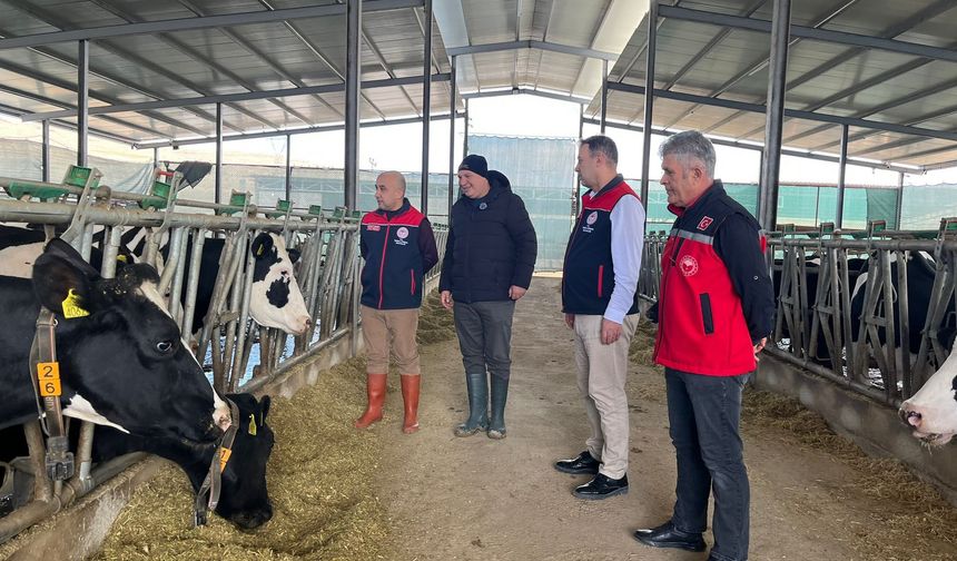 Kırsal Kalkınma Desteğiyle Üretimini Katladı