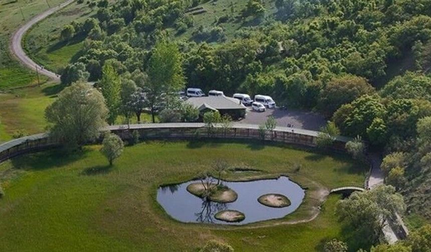 Kırşehirliler Dikkat! Milli parklarda kuralları çiğneyene 15 bin liraya kadar ceza!