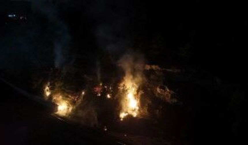 Ormanda Yangın! Sebebi Henüz Belirsiz…