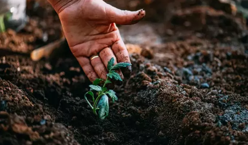 Son cemre düştü! Kırşehir’de çiftçiler bahar hazırlığına başladı