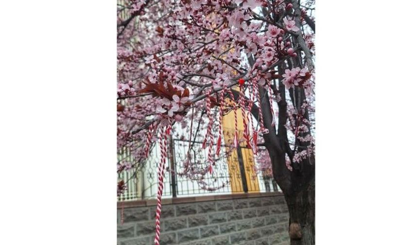 Kırşehir’de Marteniçka Geleneği dallara taşıyor