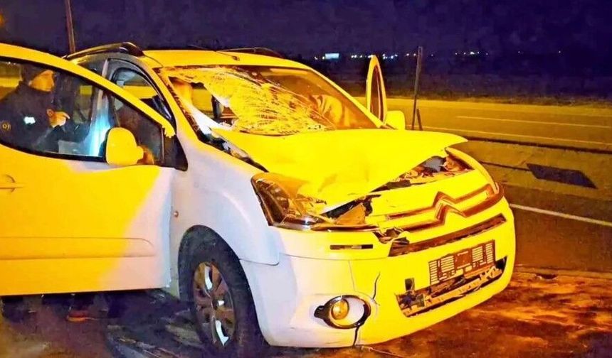 Yolun karşısına geçmek isteyen yayaya araç çarptı