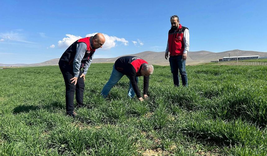 Kırşehir’de Tarım Arazilerinde Yakın Takip