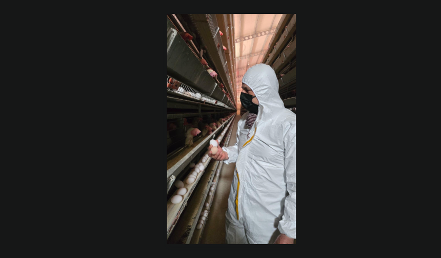 Kırşehir'de Kanatlı İşletmelerine Sıkı Denetim!