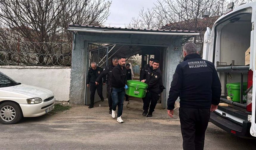 İki kardeş babalarını öldürdü