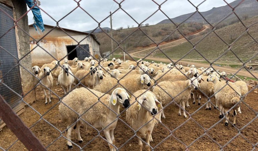 Kırşehir’de çiftçi ile iş birliği sürüyor