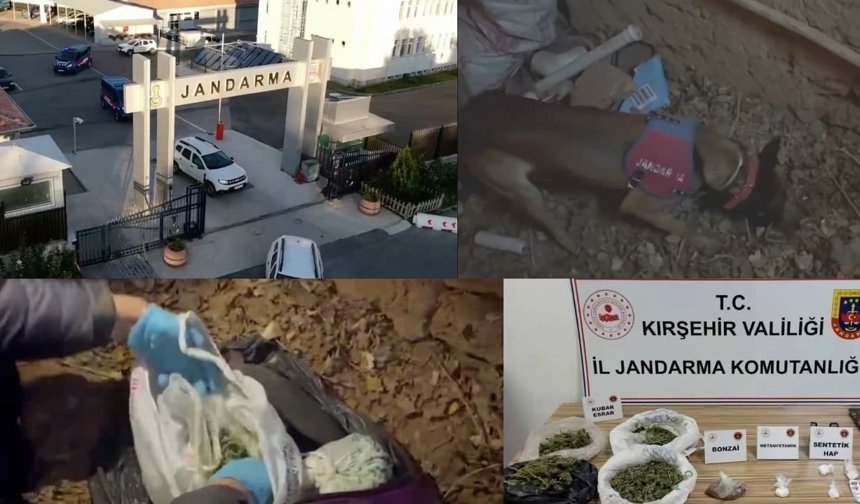 Kırşehir’de Zehir Tacirlerine Darbe: 1 Tutuklama