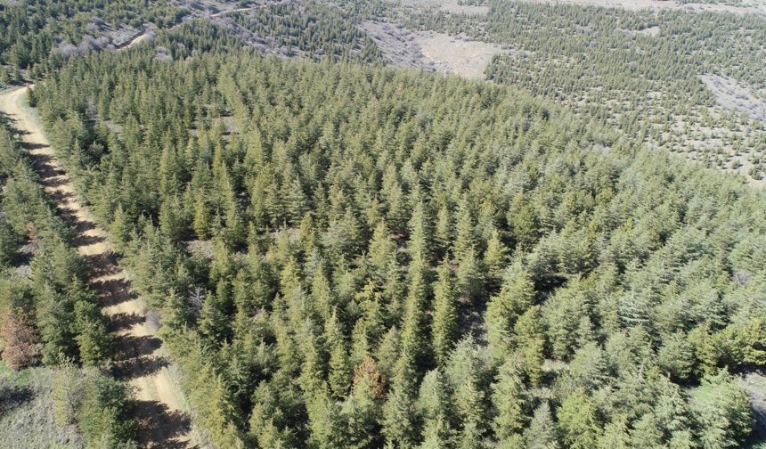 Kırşehir Bozkırı 2,5 Milyon Yeni Nefes Kazandı