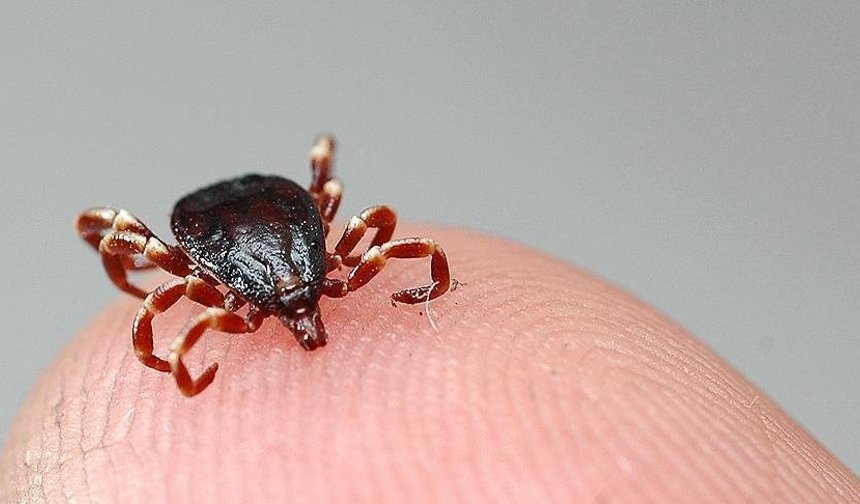 Kırım Kongo Şüphesi: 21 Yaşındaki Genç Hayatını Kaybetti