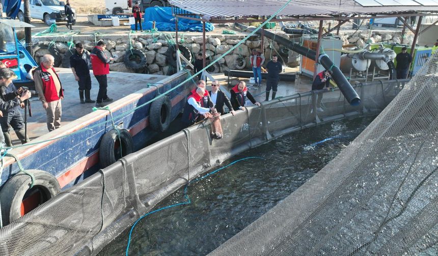Üreten Kırşehir’de balıkçılığa destek sürüyor!