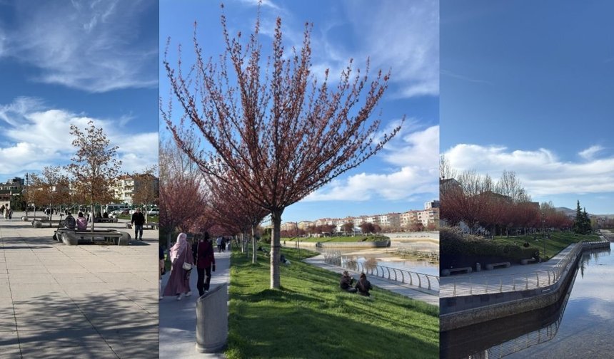Kırşehir’de Bahar Hareketliliği Kent Park Dolup Taşıyor