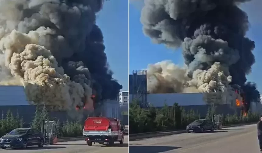Boya fabrikasında büyük yangın: Ekipler müdahale ediyor