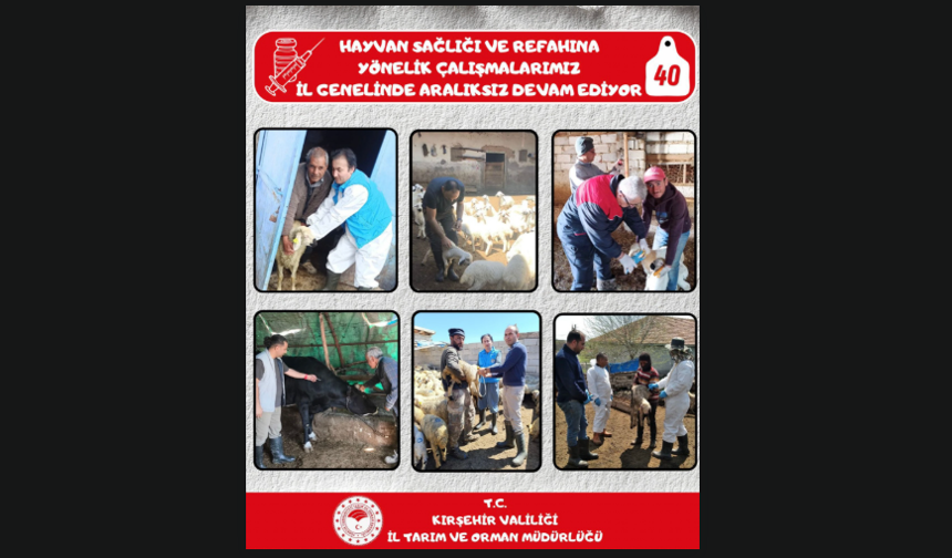Kırşehir’de Hayvan Sağlığı ve Refahı İçin Yoğun Çalışma