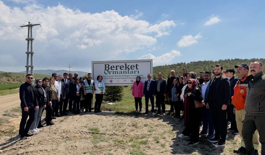 AK Parti Kırşehir’den Bereket Ormanları etkinliği, bin fidan toprakla buluştu