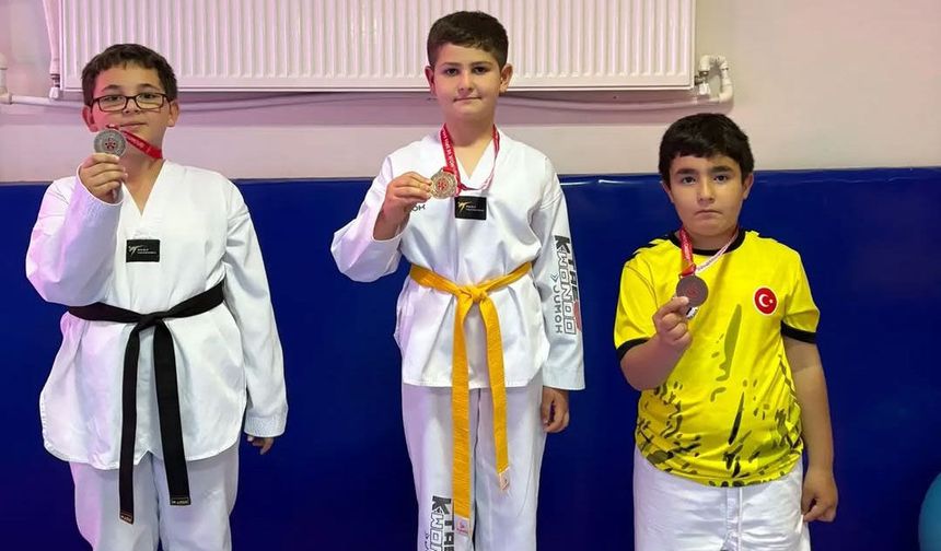 Kaman’da miniklerden Taekwondo şöleni