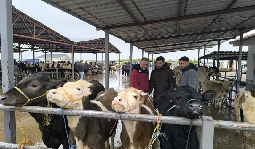 Kırşehir’de hayvan pazarı kontrol altında