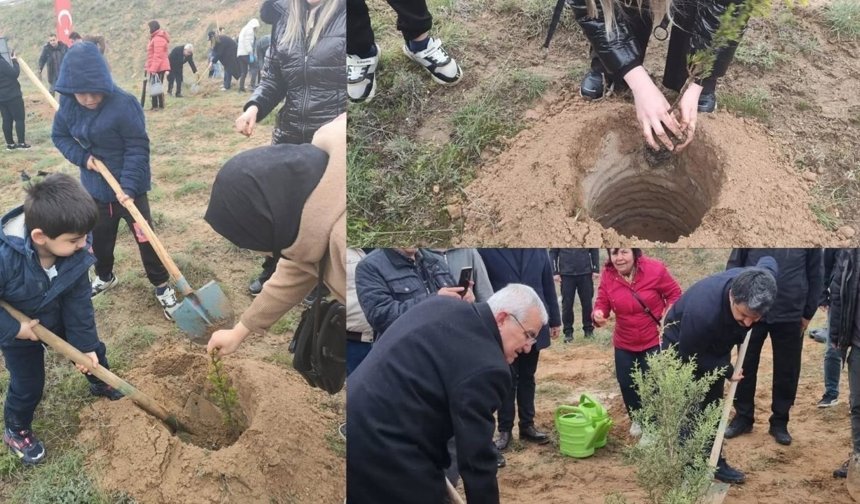Kırşehir’de Yağmur Altında 600 Fidan Toprakla Buluştu