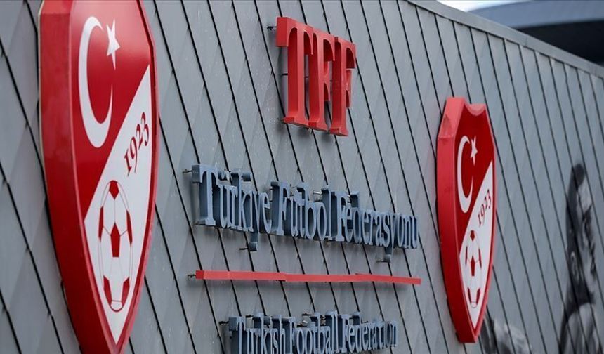 Profesyonel liglerde sezon resmen tescillendi