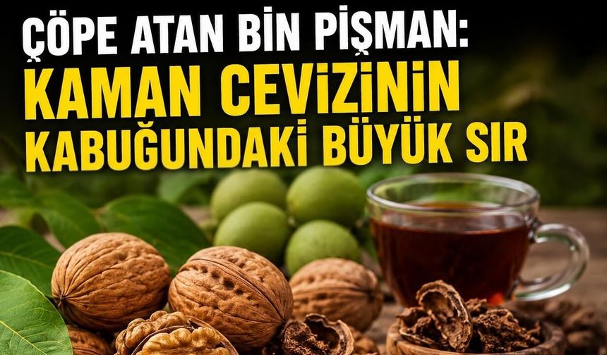 Çöpe Atan Bin Pişman: Kaman Cevizinin Kabuğundaki Büyük Sır