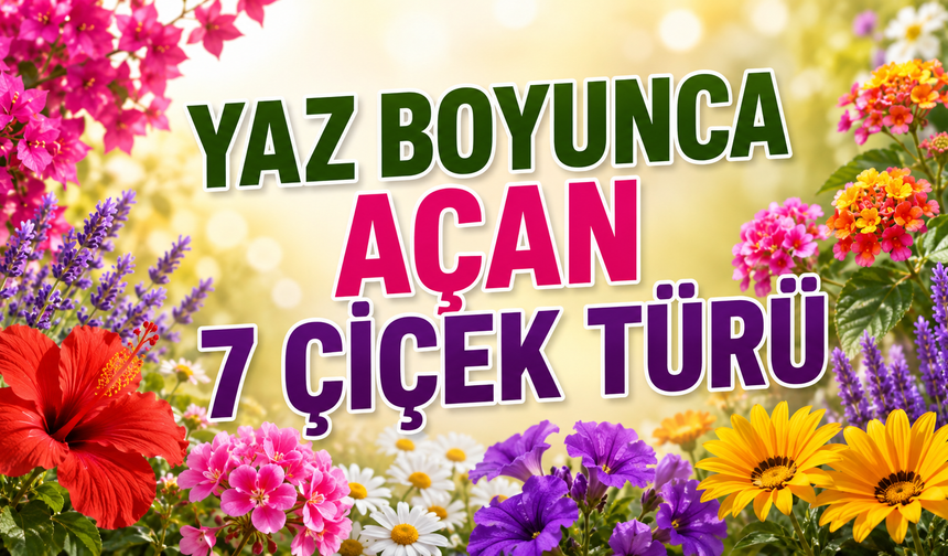 Kırşehirli Çiçekseverlere Özel: Yaz Boyu Açan 7 Çiçek Türü