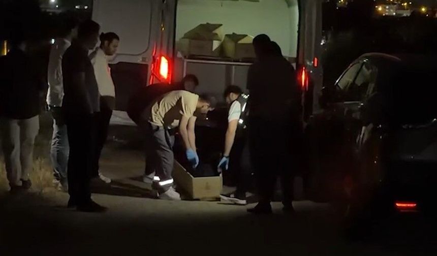 Dehşet: Kadın Başına Taşla Vurularak Öldürüldü