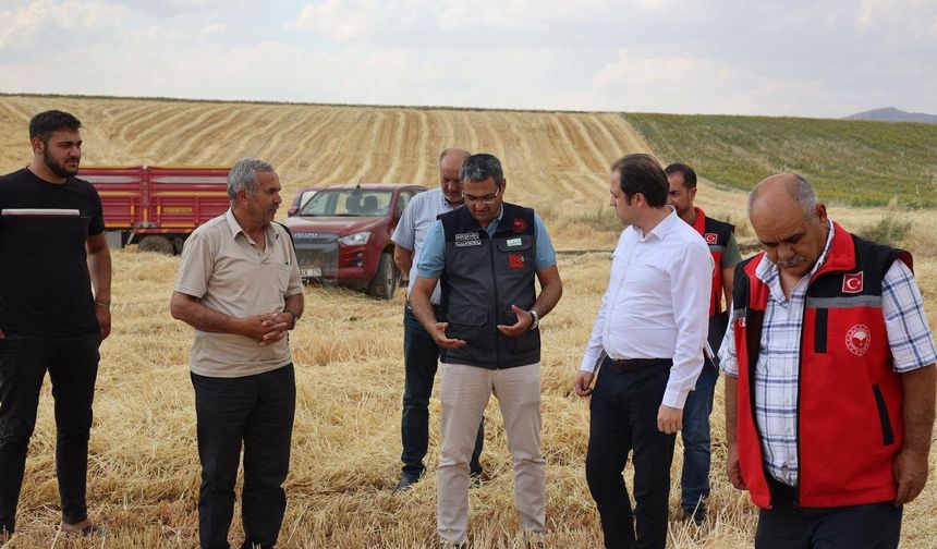 Kaman Kaymakamı Engin Tok, Hasat Sevincine Ortak Oldu