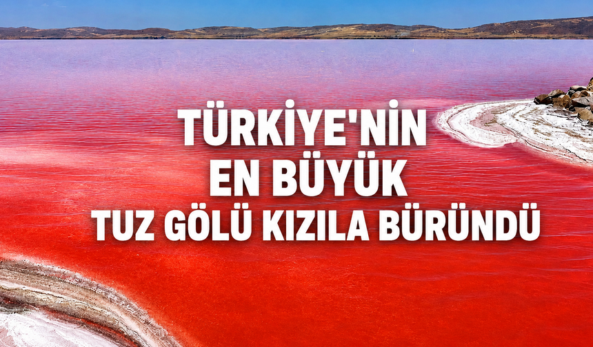 Kırmızıya Dönen Tuz Gölü Görenleri Şaşırttı! İşte Nedeni