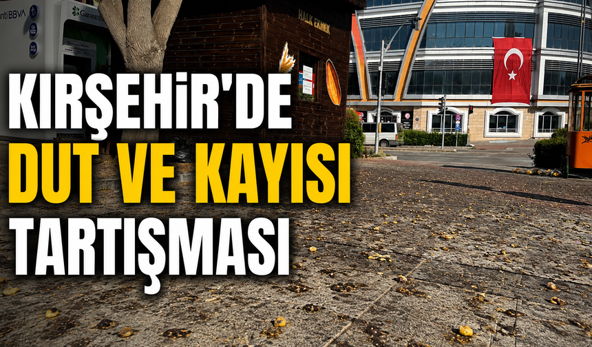 Kırşehir'de Meyve Ağaçları Gölge Değil Sorun Oldu