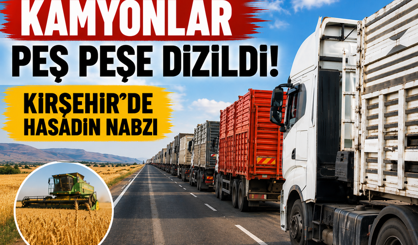 Kamyonlar Peş Peşe Dizildi! Kırşehir'de Hasadın Nabzı Kuruağıl'da Atıyor