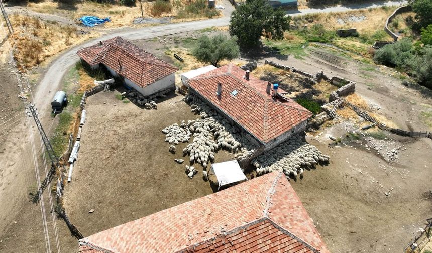 Kırşehir'de üretici ziyaretleri devam ediyor