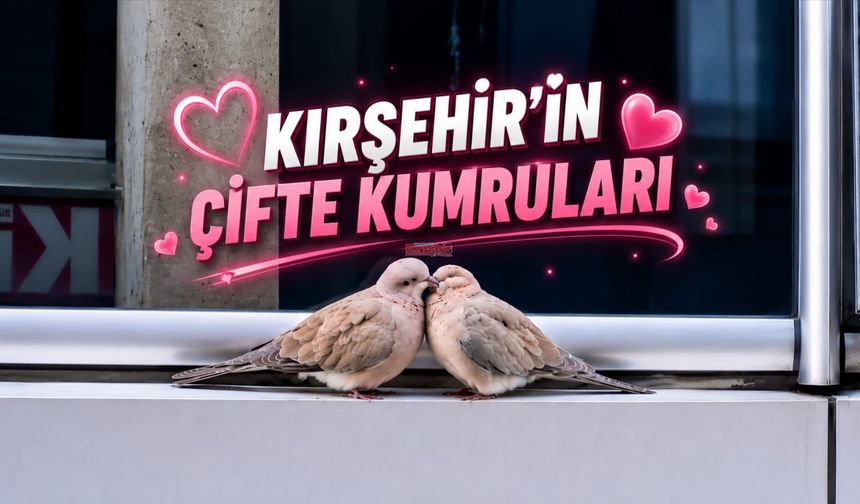 Kırşehir'de "Çifte Kumrular" Deyimi Gerçek Oldu