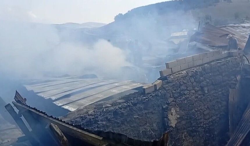 Köyde Korku Dolu Saatler! Alevler Her Yeri Sardı
