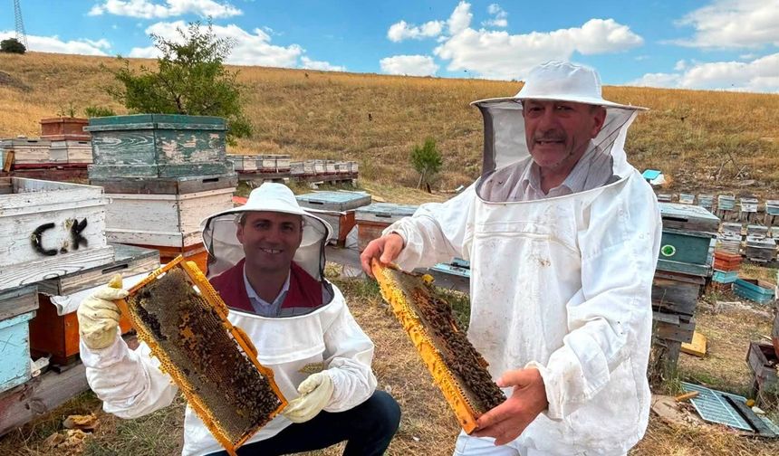 Mucur’da Bal Hasadı Devam Ediyor