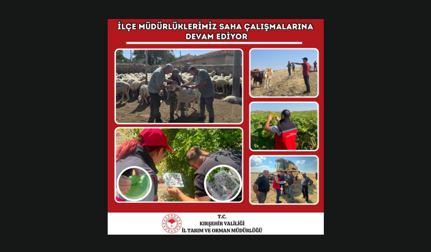 İlçe Tarım Müdürlüklerinin Saha Mesaisi Sürüyor