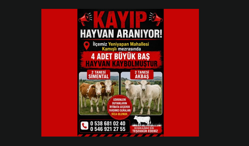 Akçakent Yeniyapan Mahallesi’nde 4 Büyükbaş Hayvan Kayıp
