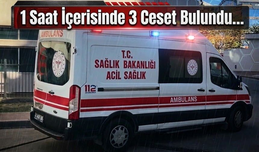 1 Saat İçerisinde 3 Ceset Bulundu…
