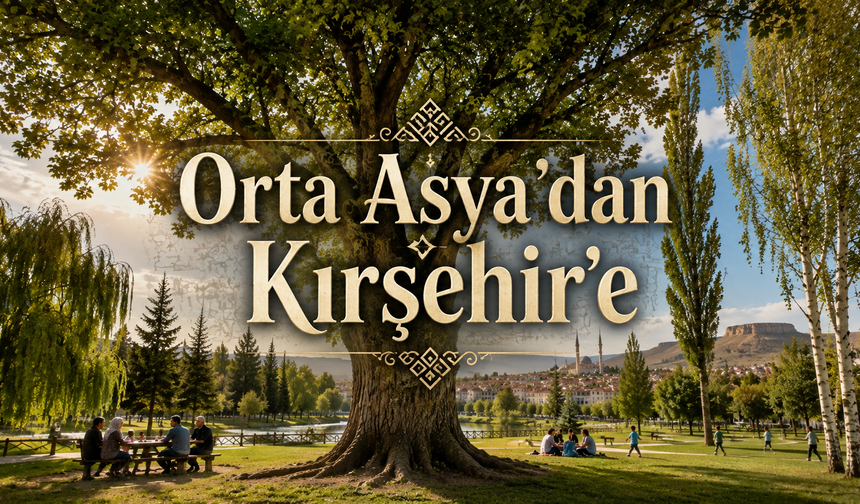 Türk Kültürünün Sessiz Sembolleri Kırşehir'in Her Yerinde